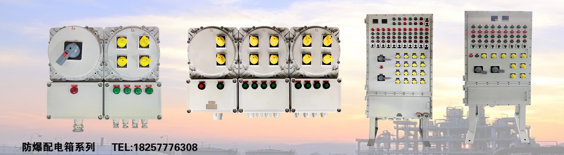 防爆配电箱系列